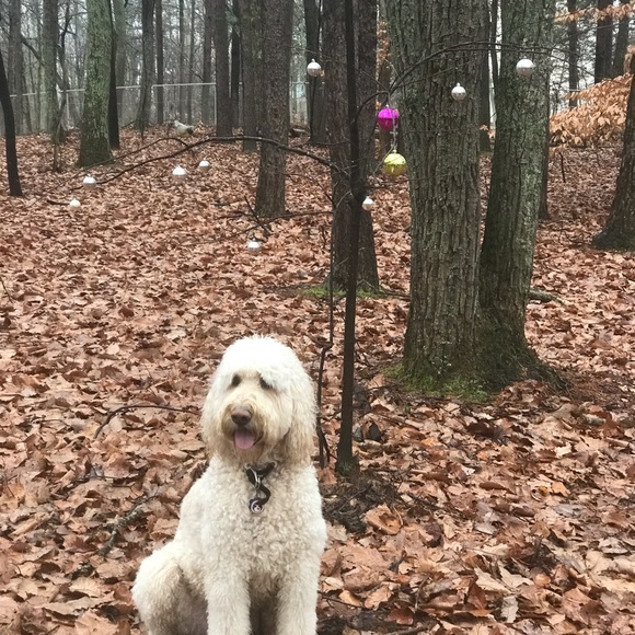 Meet your Posher, Mark - Picture 1 of 1